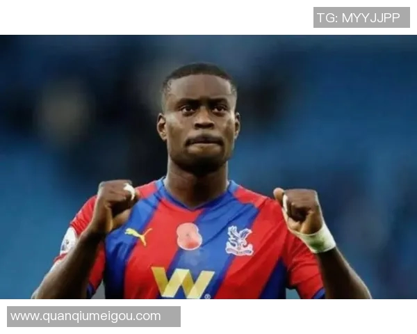 水晶宫计划冬窗出售身价5000万格伊红军将面临皇萨仁激烈竞争