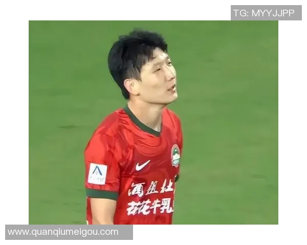 上海海港足球俱乐部正式宣布岳鑫卢永涛张源安永佳加盟新赛季阵容更新